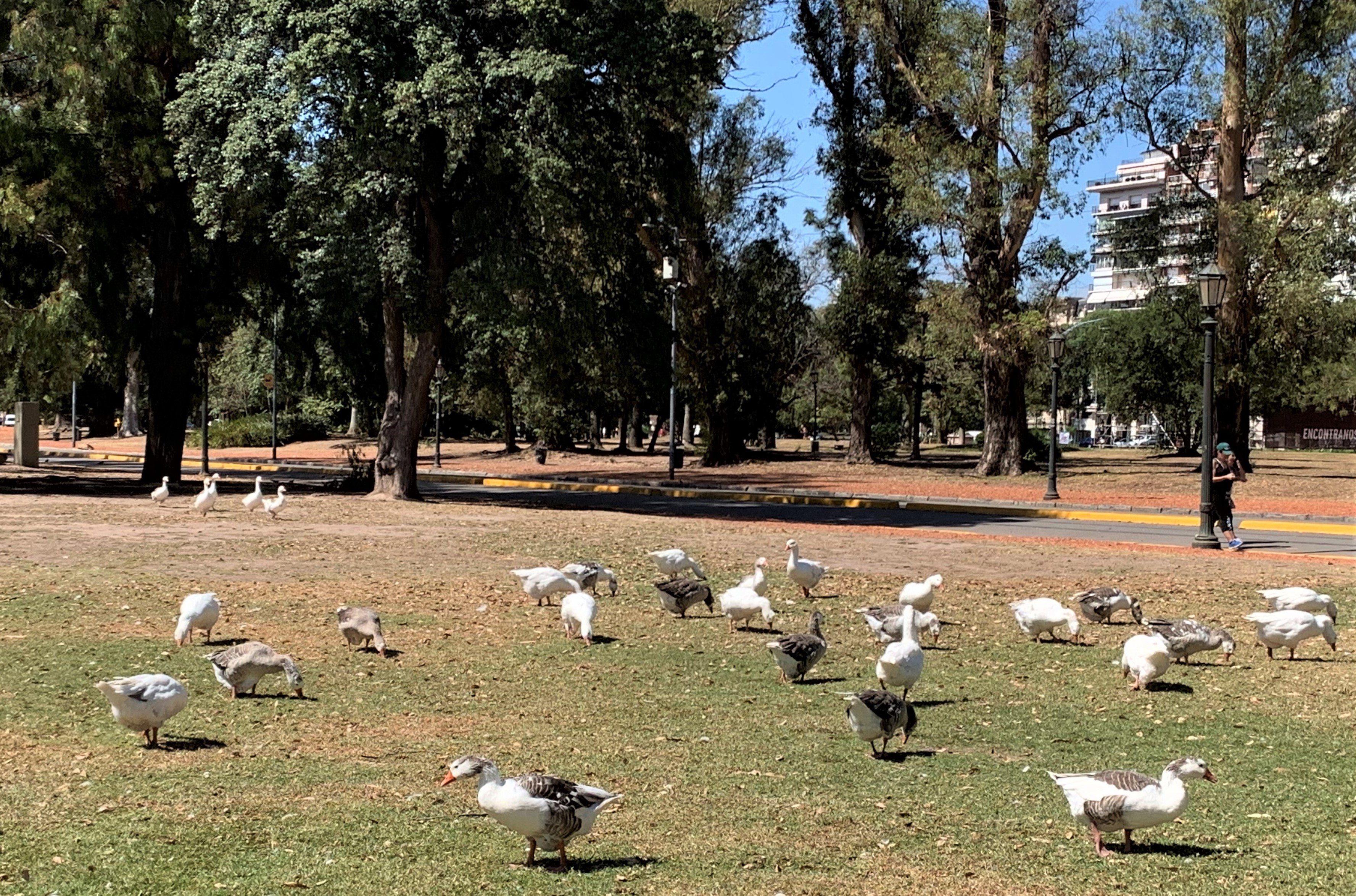 Argentina